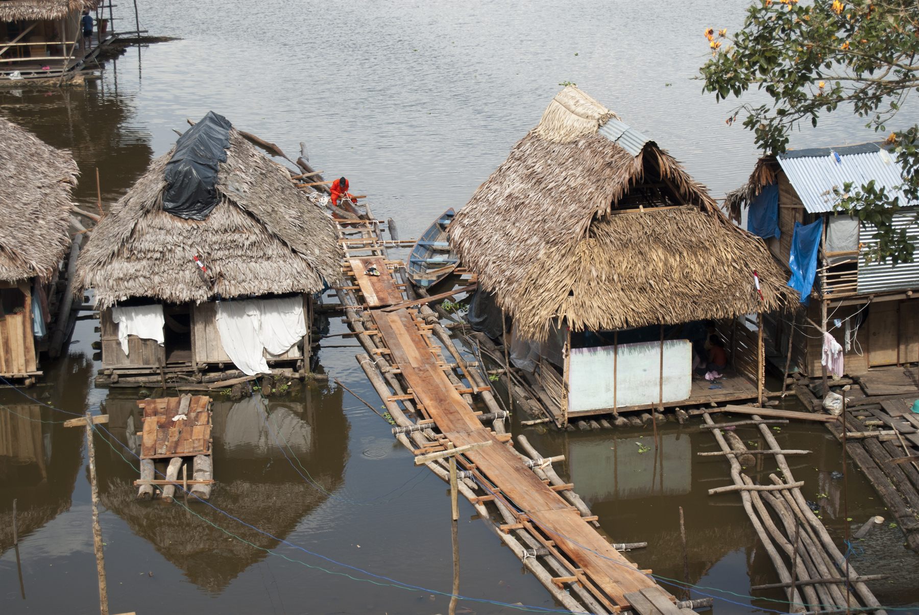 Thatched stilt houses linked by plank walkways over the Amazon